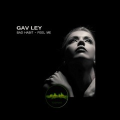Gav Ley - Feel Me