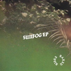 PREMIERE: Swales - Sun Fog [Dansu Discs]