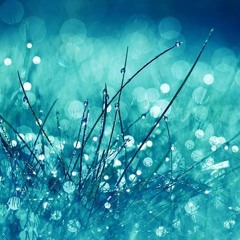 Field Of Blue Grass