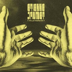 Etienne Jaumet - Metallik Cages