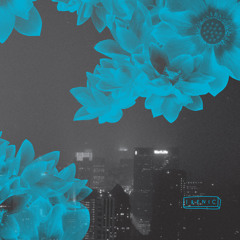 A2. Roger Gerressen - C [IRENIC002]