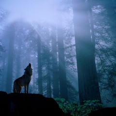 Cold Blooded Instrumental