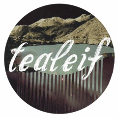 capital letter (1.3)