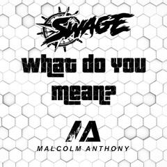What Do You Mean? ft Malcolm Anthony