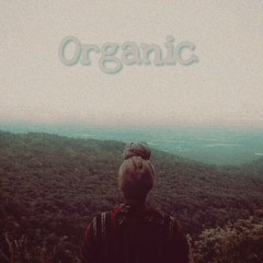 Indigo - Organic