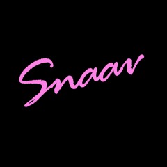 Dj Snaav - 2k17 Year Mix (Rap, Big Room, Pop, R&B, Mashups)
