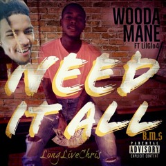 WoodaMane X LilGlo4 - Need It All