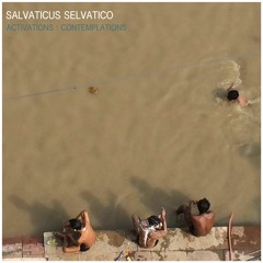 Don't look back, Orfeo