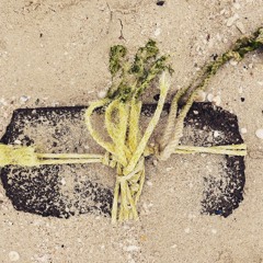 1. we never realise our wellbeing until we loose our wellbeing