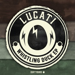 Lucati - "Whistling Duck" [BIRDFEED EXCLUSIVE]