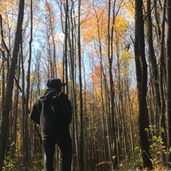 Nature Walk (Prod. Dylan Barnett)