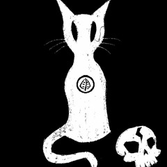 cat_under_streetlight