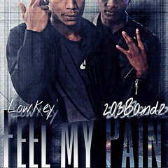 Lowkey X 203 bandz - FEEL MY PAIN