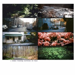 American Pleasure Club - seemed like the whole world was lost