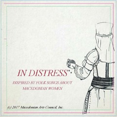 IN  DISTRESS - WORKING DEMO