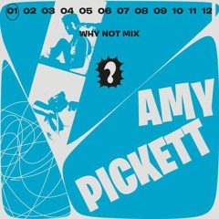 Why Not Mix 01 - Amy Pickett