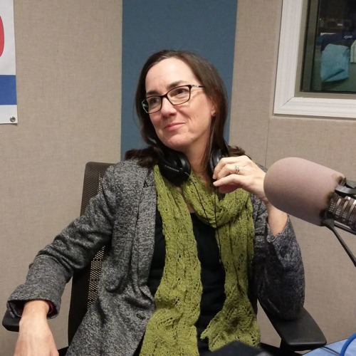 Stream Illinois State Rep Kelly Cassidy Returns to The Ben Joravsky ...