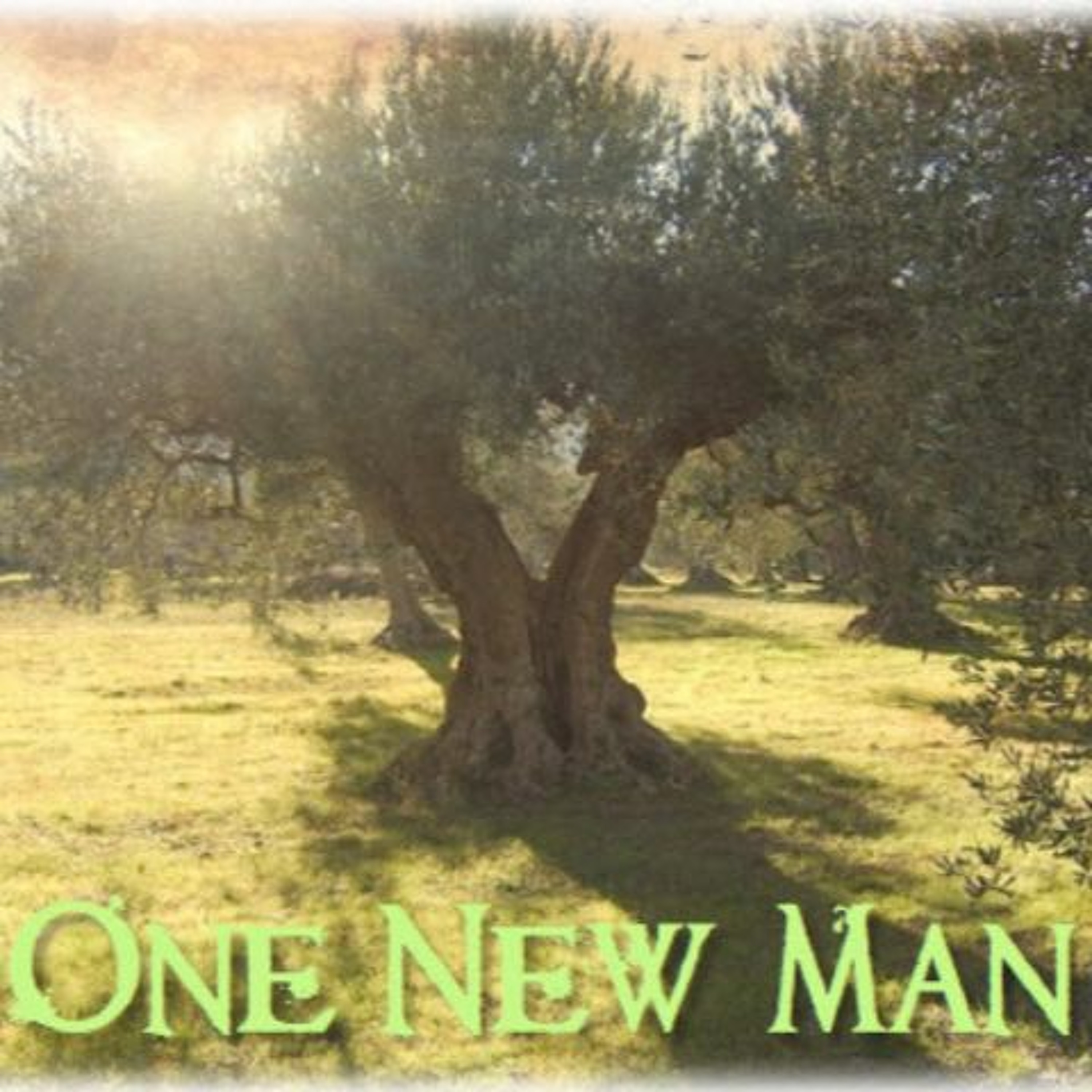 HHMI ~ Ephesians 2 & Colossians 2 ~ Pt 1 ~ Did Paul Teach and Follow the Torah? episode artwork