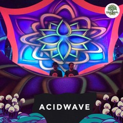 ACIDWAVE @ TREEBAL - SPACEHALL 28.10.2017