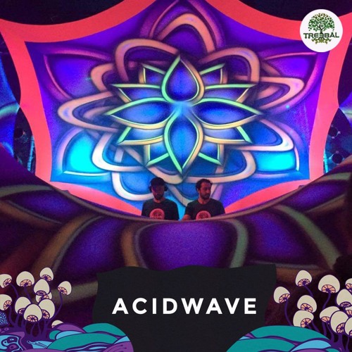 ACIDWAVE @ TREEBAL - SPACEHALL 28.10.2017