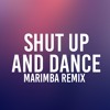 Shut Up and Dance (Marimba Remix of Walk The Moon)