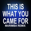 This is what you came For (Marimba Remix of Calvin Harris feat. Rihanna)