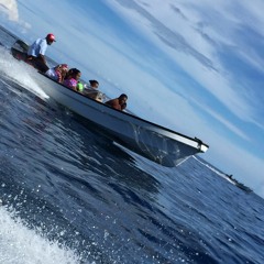 Kot semen ach... By Merikson