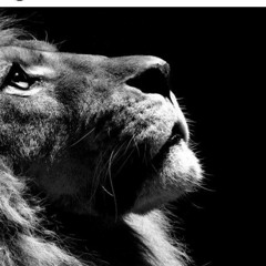 It was written (Real)