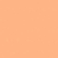 FACTS - JARED BRADY X SCOOTER SMIFF