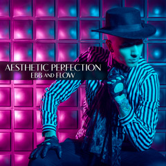 Aesthetic Perfection - Bye Bye Bye (Feat. Nikki Misery)