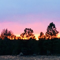 A Walk With Deep Thots