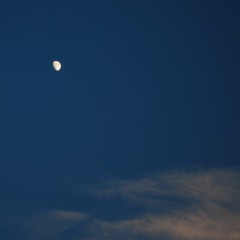 Nighttime Search (October 2017 performance)