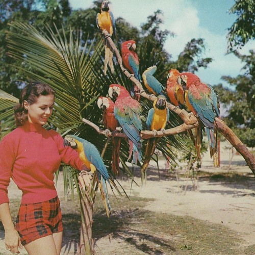 FSQ SELECTIONS 007 - APRIL 2016