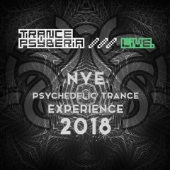 Trance Psyberia /// LIVE @ NYE 2018, 333 Live, 12.31.2017.