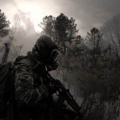 The Last Soldier  - FLVWE