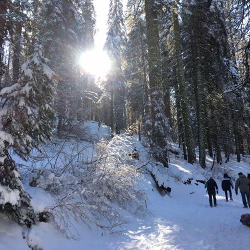 Recall How David Swore