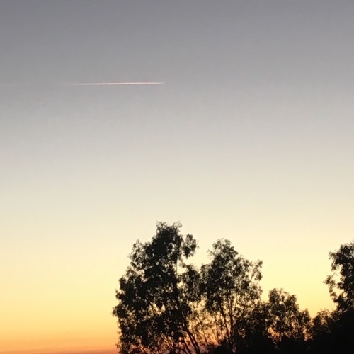 For you and only you