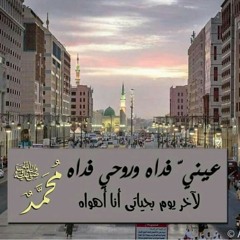 محمد بدر البدور