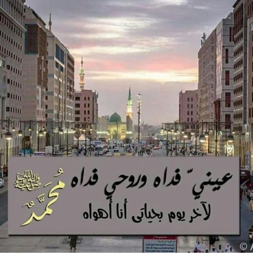 محمد بدر البدور