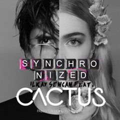 Ilkay Sencan feat. Mr. & Mrs. Cactus - Synchronized