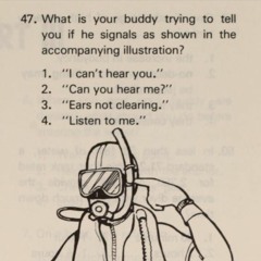 Bodies Of Water Underwater Excerpt