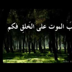 قصيدة (حارت الأفكار) أداء/ ظفر بن راشد النتيفات