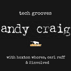 Andy Craig ft Eileen Jaime - Little Bit Wild (2Involved Remix)