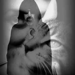 Paranoia (2018) - Catherine Wheel - Version by Silk