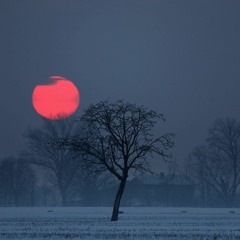 Poppa Sling-Chainsaw