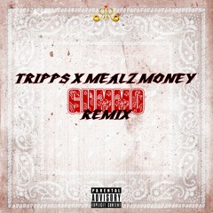 Gummo Remix ft. Mealz Money