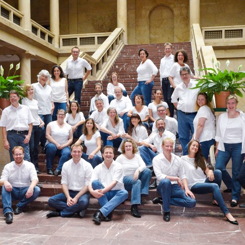 Mille regretz (for Violin and Choir)