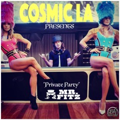 Mr. Fitz - Private Party
