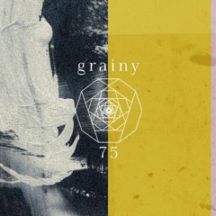 unknown artist // grainy 075