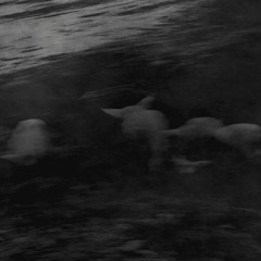 A Dark Force 'Loreley' (Original Mix)